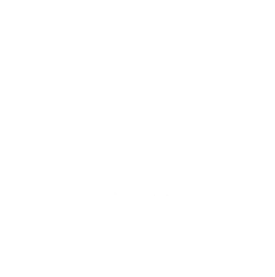 示普网络logo